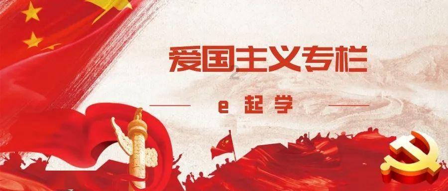 可怜猫的救援